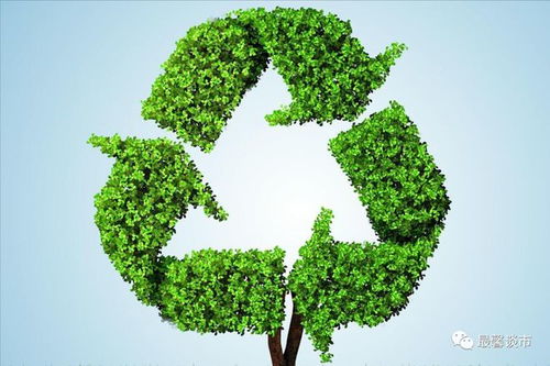 固廢治理 環保產業的核心賽道，聚焦四大潛力龍頭企業